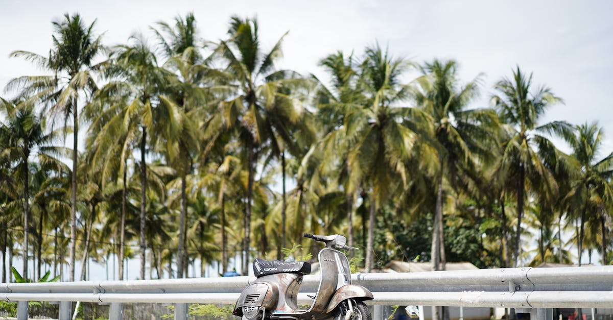 découvrez notre assurance scooter adaptée à vos besoins, offrant une couverture complète pour votre sécurité sur la route. protégez votre scooter tout en bénéficiant de tarifs compétitifs et d'un service client de qualité.