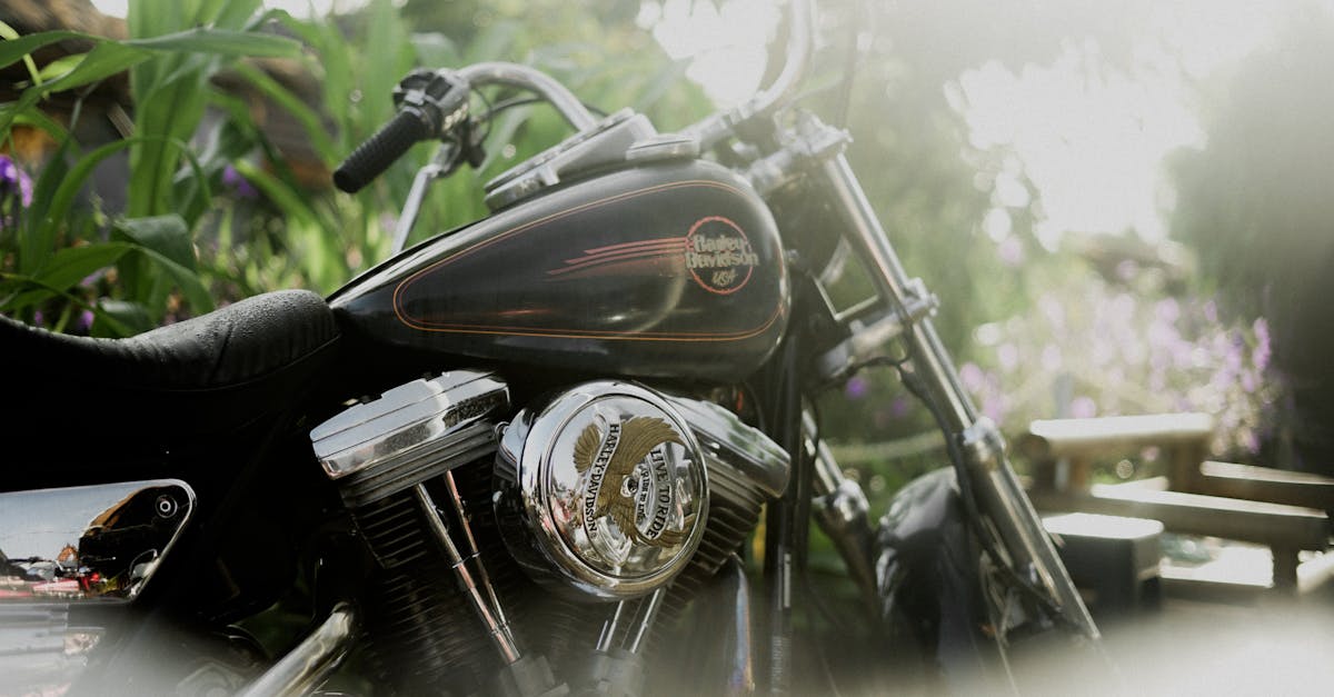 découvrez l'assurance harley davidson idéale pour protéger votre moto. obtenez des devis compétitifs, des couvertures personnalisées et une assistance adaptée aux passionnés de harley. assurez-vous de rouler en toute sérénité.