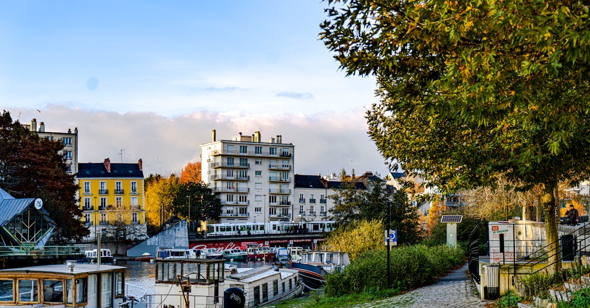 découvrez amv nantes, votre partenaire idéal pour des solutions d'assurance sur mesure. profitez de conseils personnalisés et d'une large gamme de services dédiés à la protection de vos biens et de votre avenir. rejoignez-nous pour une expérience client unique et professionnelle à nantes.