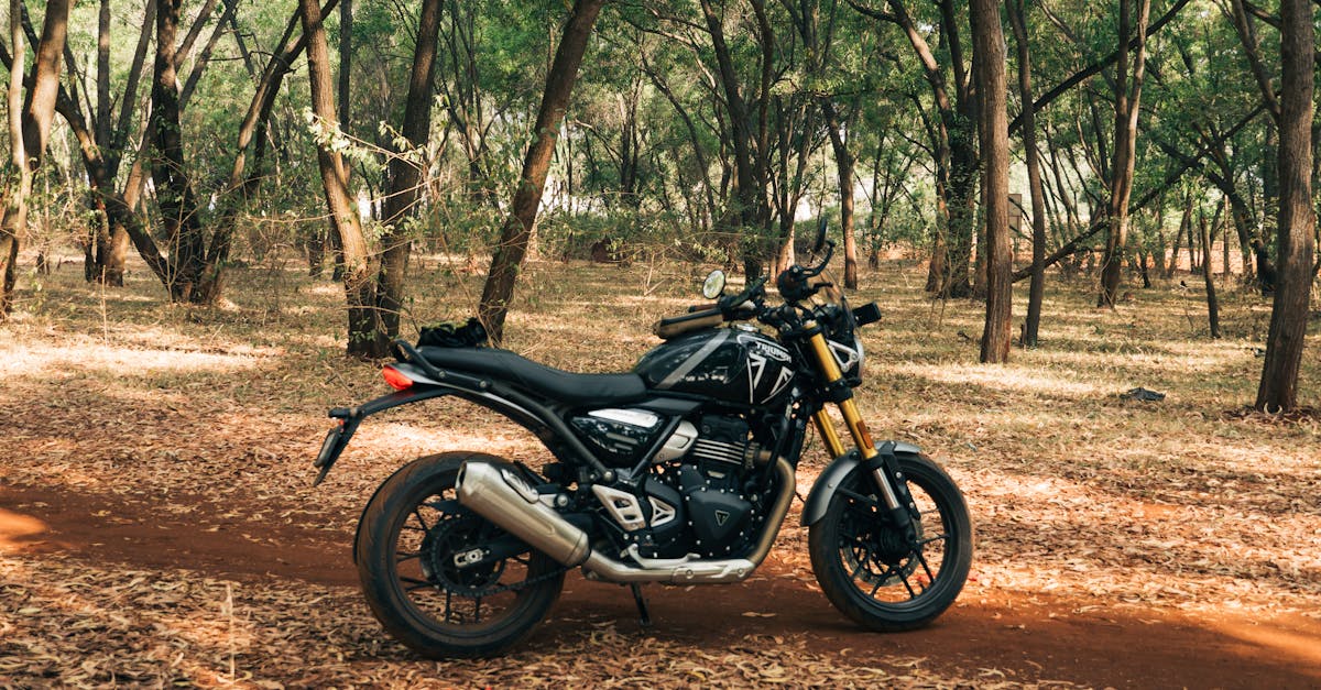découvrez les meilleures options d'assurance pour motos. protégez votre véhicule avec des couvertures adaptées à vos besoins et roulez en toute sérénité. comparez les prix et choisissez l'assurance moto qui vous convient le mieux.
