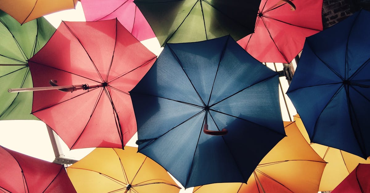 découvrez nos solutions d'assurance adaptées à vos besoins. protégez votre famille, vos biens et votre avenir avec des garanties complètes et un service client exceptionnel. comparez, choisissez et souscrivez en toute confiance.