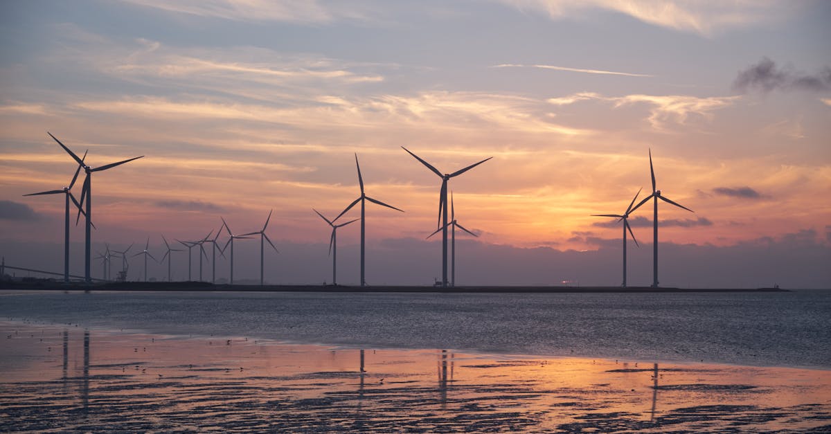 découvrez des pratiques durables et des solutions écologiques pour un avenir meilleur. engagez-vous pour la préservation de notre planète grâce à des choix responsables et innovants.