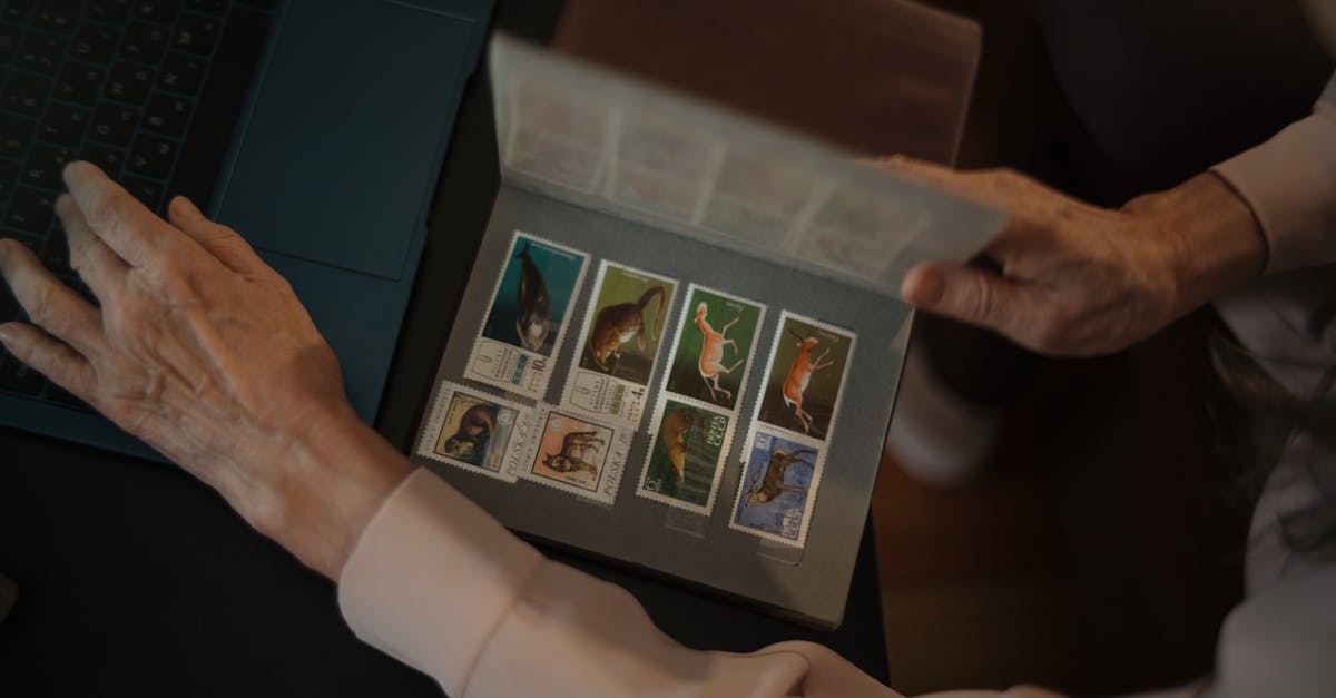 découvrez nos solutions d'assurance en ligne adaptées à vos besoins. obtenez des devis rapides, comparez les offres et protégez vos biens en toute simplicité grâce à notre plateforme sécurisée.