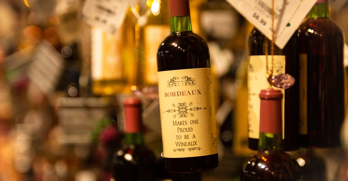 découvrez bordeaux, une ville au patrimoine riche et au charme inégalé, célèbre pour son vin, son architecture élégante et ses quais animés. explorez ses ruelles historiques, ses places vibrantes et savourez la gastronomie locale dans un cadre enchanteur.